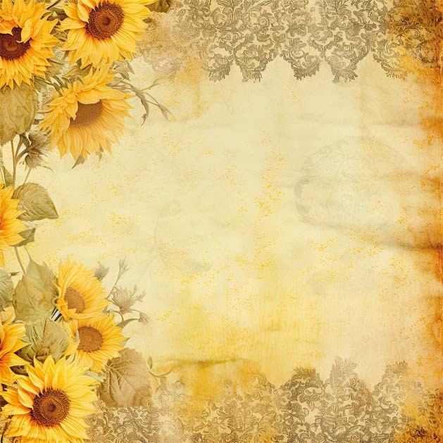 Paperpack - Berrie's Beauties - Blooming sun